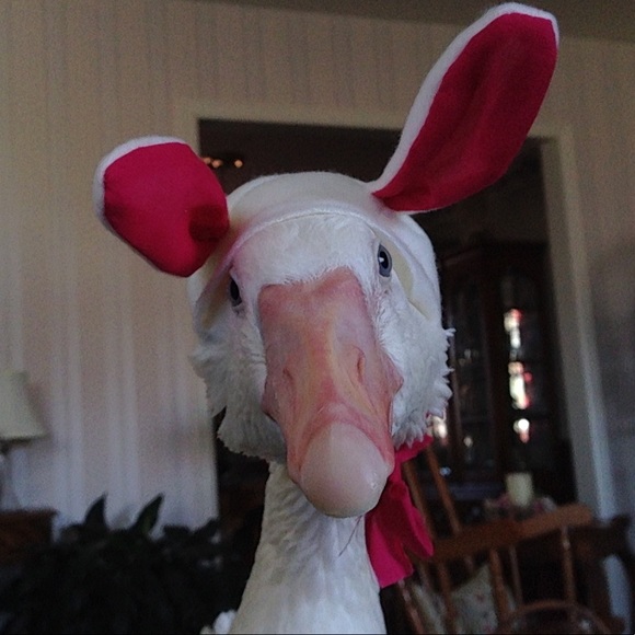 Welcome! - Picture 6 of 7